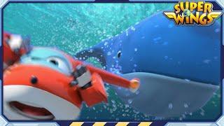 [SUPERWINGS2] De Walvis en meer | S2 EP21~30 | Superwings Officieel Kanaal