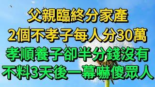 父親臨終分家產，2個不孝子每人分30萬，孝順養子卻半分錢沒有，不料3天後一幕嚇傻眾人 | 柳梦微语