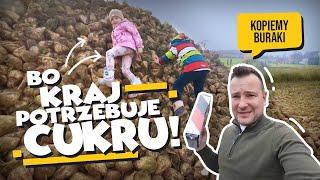 BO KRAJ POTRZEBUJE CUKRU! KOPIEMY BURAKI