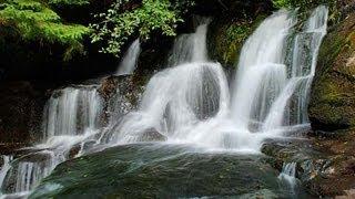  Very Relaxing 3 Hour Video of SMALL Waterfall