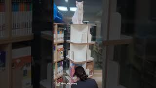 나랑이에요.