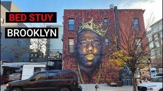 Exploring Brooklyn - Walking Bed-Stuy | Brooklyn's Upcoming Neighborhood?