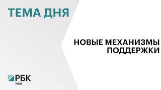 С начала 2024 г. малый и средний бизнес Башкортостана поддержали на ₽2,5 млрд