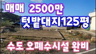 24151 영동하나로부동산 010 3042 2397  콘크리트로 건축 기초 세워져있고, 수도. 전기. 정화조 설치됨. 텃밭도 있는 대지 125평. 고정가 2500만.