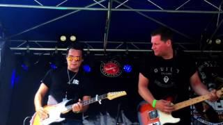 The Steve Oakley Band (Live From Hollystock)