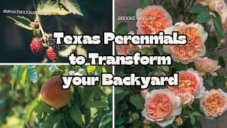 12 Perennial Plants to Transform Your Texas Backyard | Easy & Low Maintenance Gardening in Texas