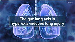 Uncovering the gut-lung axis in hyperoxia-induced lung injury