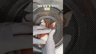 달걀  반숙 삶기  Soft Boiled Eggs
