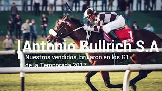 Antonio Bullrich S.A. Resumen 2017