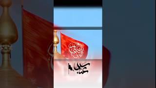 Ya Ghazi Abbas Mola Abbas Manqabat 2025 #molaabbas #molaali #naat #short