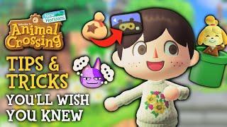 Tips & Tricks I WISH I Knew Sooner in Animal Crossing New Horizons