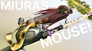 THIS LURE IS INSANE! Pike fishing with the Strikepro Miuras Mouse!