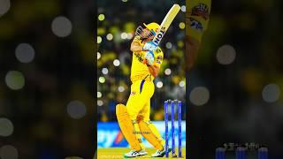 MS Dhoni Loyal Fans ️ #msdhoni #cskfans #ipl2025 #cricket #whatsappstatus #shorts #status #csk