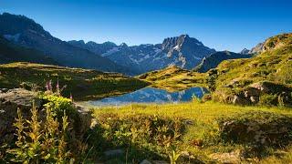 Wildlife Wonders In The French Countryside