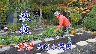 Autumn harvest in my small vegetable garden