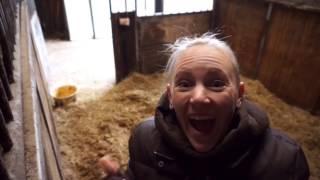 Barn VLOG A day in the life of Signe of Horses