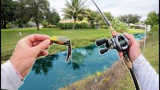 The Hunt For INVASIVES! Pond Hopping Suburban Neighborhood Ponds