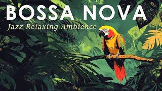 Bossa Nova Tropical Beauty ~ Best Bossa Nova Jazz for Stress Relief ~ Jazz Alchemy Quartet