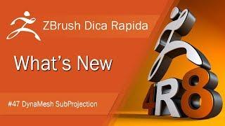 ZBrush Dica Rapida - What`s New ZBrush 4R8 #47 DynaMesh SubProjection