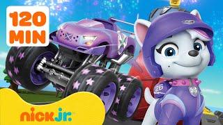 Paw Patrol | Avventure con le Ruote di Salvataggio dei PAW Patrol! #8 con Roxi  | Nick Jr. Italia