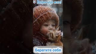 Доброе утро,хорошего дня открытки на каждый день #открытка #доброеутро #видеооткрытка #доброеутречко