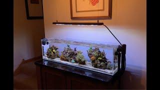 Eschulist's 3 Foot Nano Reef