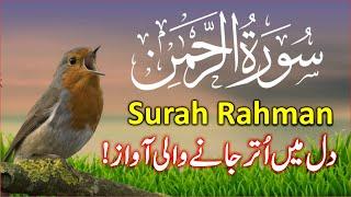 25Surah Rahman Beautiful Recitation | Surah AR Rehman Tilawat | سورۃ رحمن | Trimedia Ep2957