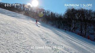 송종근 스키어, 레인보우 1 슬로프 용평리조트, RAINBOW 1 SLOPE, YONGPYONG RESORT[4K]