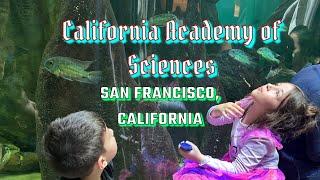 California Academy of Sciences- San Francisco, California - DanielleDeeOmHaitham - HD 720p