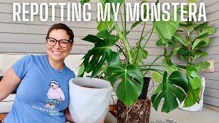 REPOTTING MY MONSTERA DELICIOSA || HOW TO REPOT