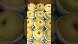 #青森県 #青森 #蘋果 #土岐 #トキ #林檎 #リンゴ #アップル #shortvideo #apples #aomori #applebox #japaneseapples #apple