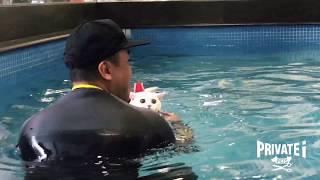 【前所未見！Swimming Cat? 貓貓游水?】@ PRIVATE i PETS │ 寵物美容店