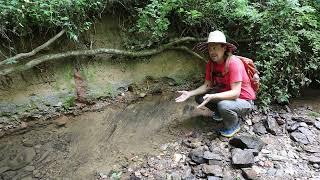 An unconformity in Pleasant Grove Park