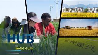 China-Africa cooperation in agriculture