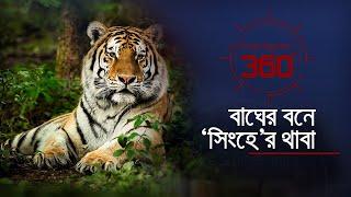 বাঘের বনে সিংহের থাবা | Investigation 360 Degree | EP 377 | Jamuna TV