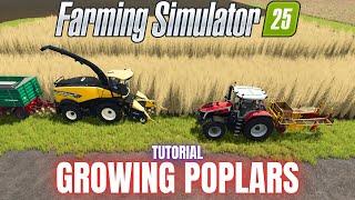 GROWING POPLARS - TUTORIAL - Farming Simulator 25