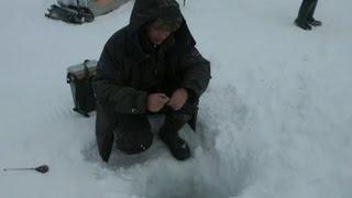Диалоги о рыбалке. Енисейский налим