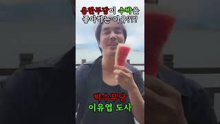 (이유엽도사) 용한무당이 수박을 좋아하는 이유?! #이유엽 #엑소시스트 #대만신