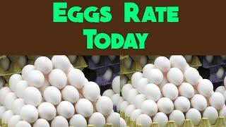 Eggs rate today | eggs price in all india | All india egg rates today