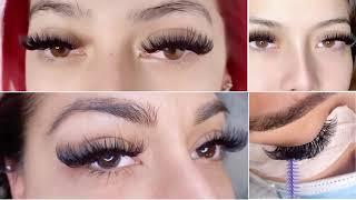 B&Q Lash Easy Fan Lashes!