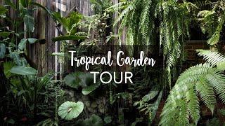 Tropical Garden Tour with Exotic Tropical Plants (with plant names!)