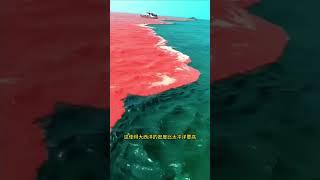 海水为啥会出现分离现象#科普 #知识 #冷知识