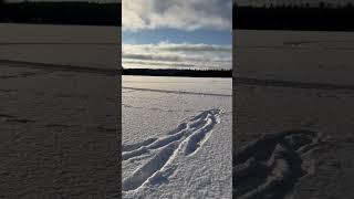 Noon at a lake somewhere in Sweden…. #YouTubeHighFive