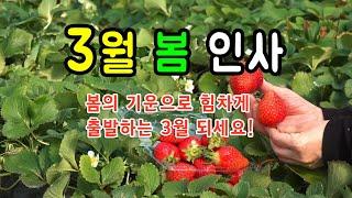 3월 인사말, 3월 행복한 봄 인사 전해요!, 봄의 기운으로 힘차게 출발하는 3월 되세요!