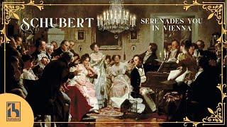 Schubert Serenades You in Vienna