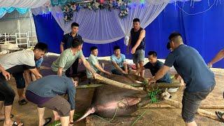 Ngả trâu mời cả bản vì làm được cái nhà to | Hoa Ban Tây Bắc Farm