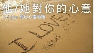  Soul Rose 塔羅占卜: 他/她現在對你的心意 (不限時間)