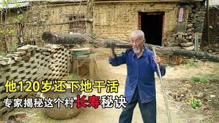 Working in the fields at the age of 120, born in the Qing Dynasty, why is this village long-lived?