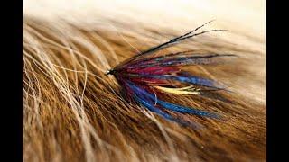 Tying a Brigadier with Martyn White (wet fly)