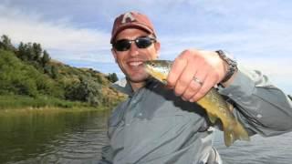 Peter Phillips Biography | Peter Phillips Anne Princess Royal's son | Peter Phillips Life